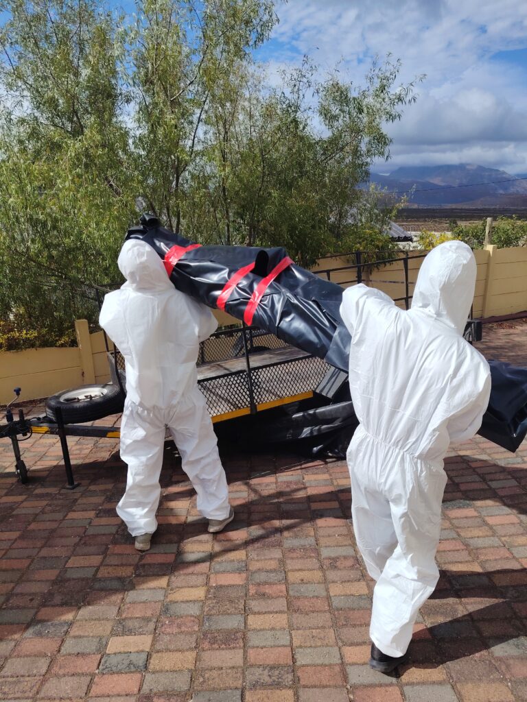 IMG_20260203_091055 (1)